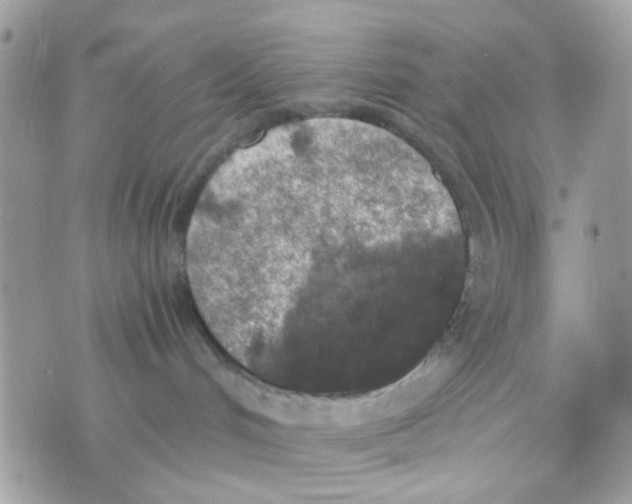 X0000074970048200609291949