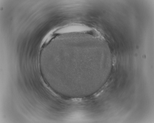 X0000074970052200609291948