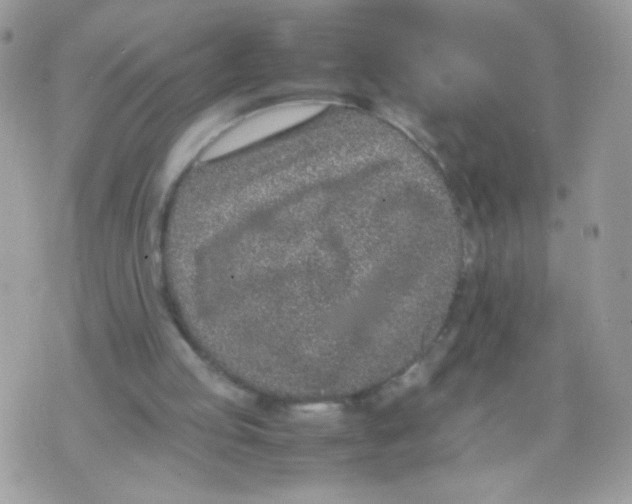 X0000074970053200609291948