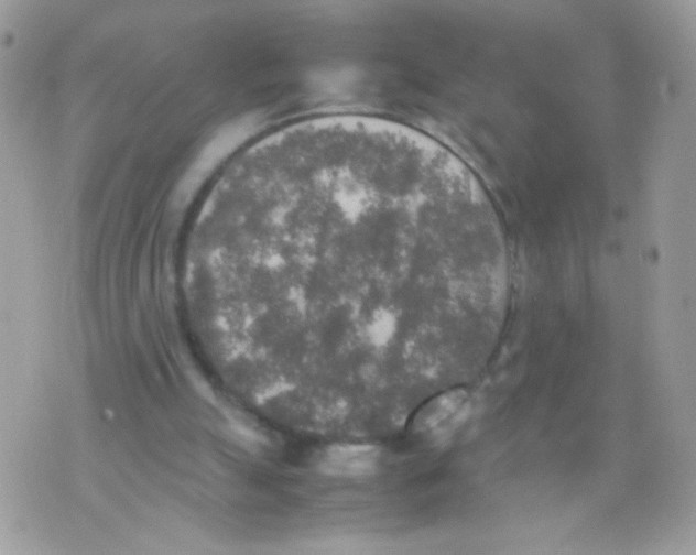 X0000074970055200609291948