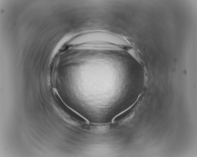 X0000074970056200609291948