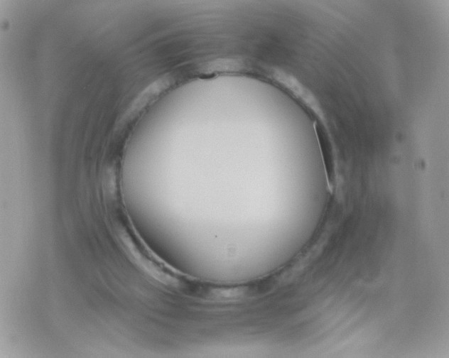 X0000074970057200609291948