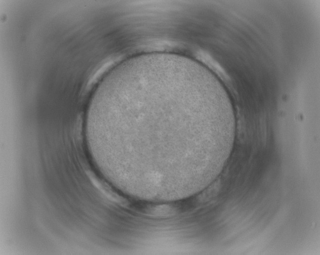 X0000074970058200609291948