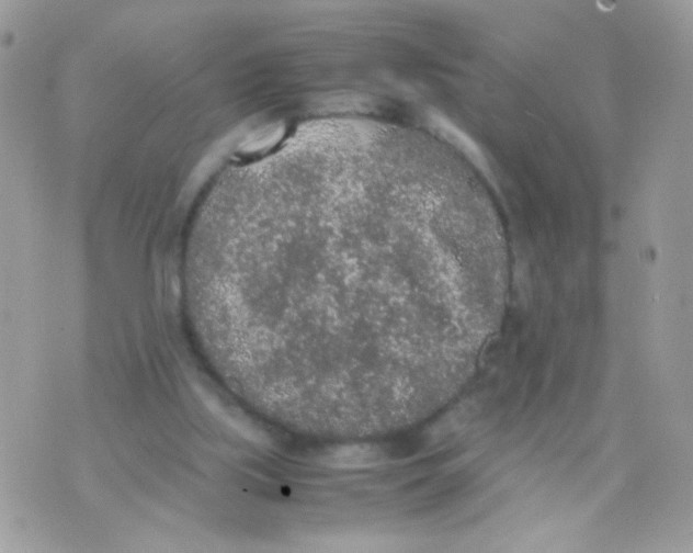 X0000074970059200609291948