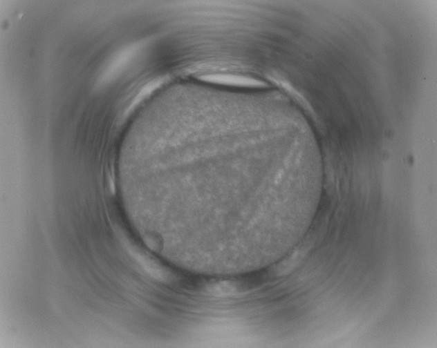 X0000074970062200609291948