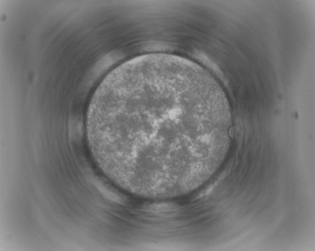 X0000074970063200609291948