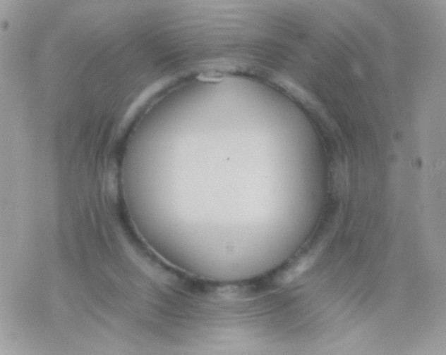 X0000074970064200609291948