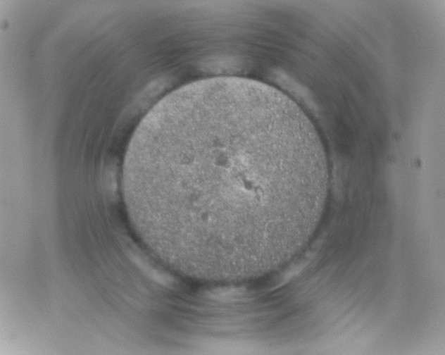 X0000074970065200609291948