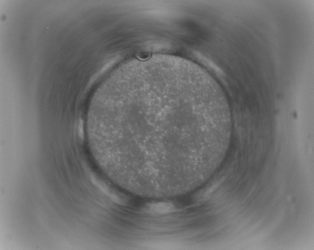 X0000074970067200609291948