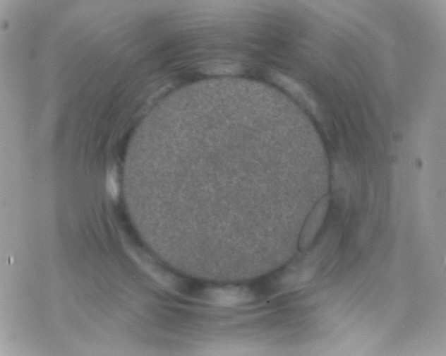 X0000074970069200609291948