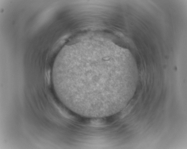 X0000074970070200609291948