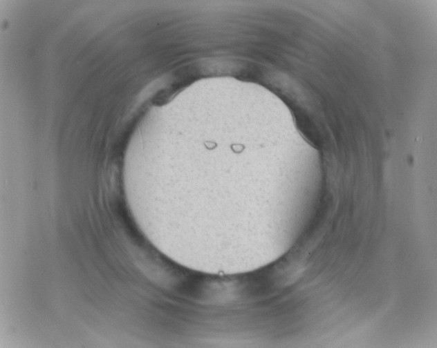 X0000074970071200609291948