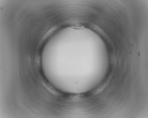 X0000074970072200609291948