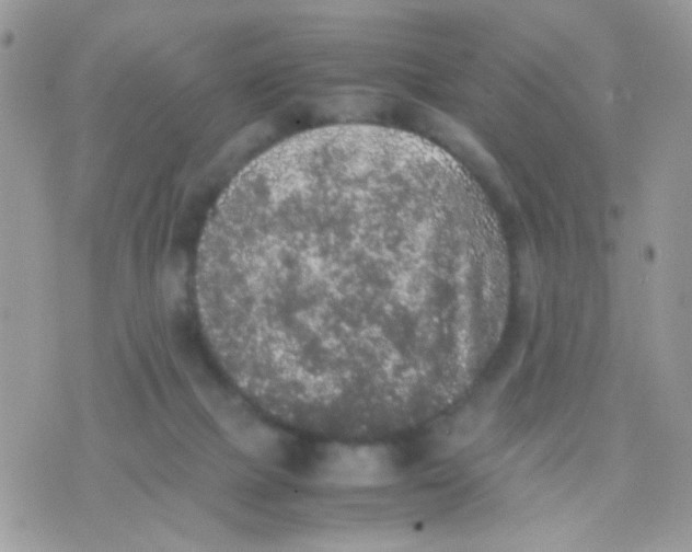 X0000074970073200609291948