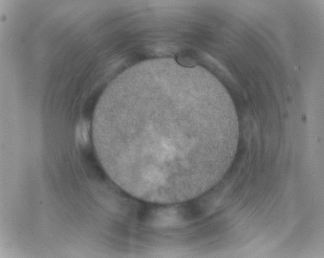 X0000074970075200609291948