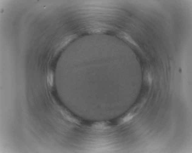 X0000074970076200609291949