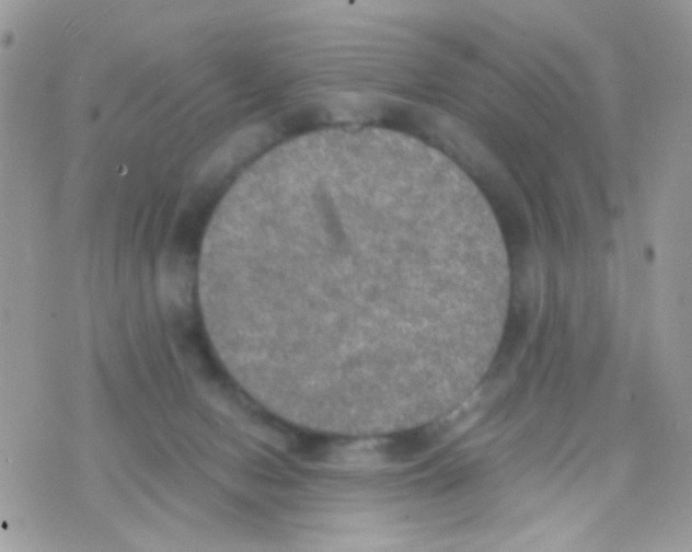 X0000074970078200609291949