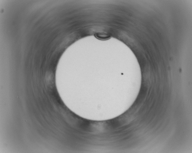 X0000074970079200609291949