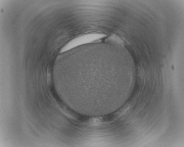 X0000074970080200609291949