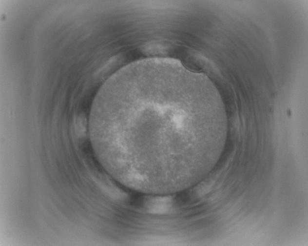 X0000074970081200609291949