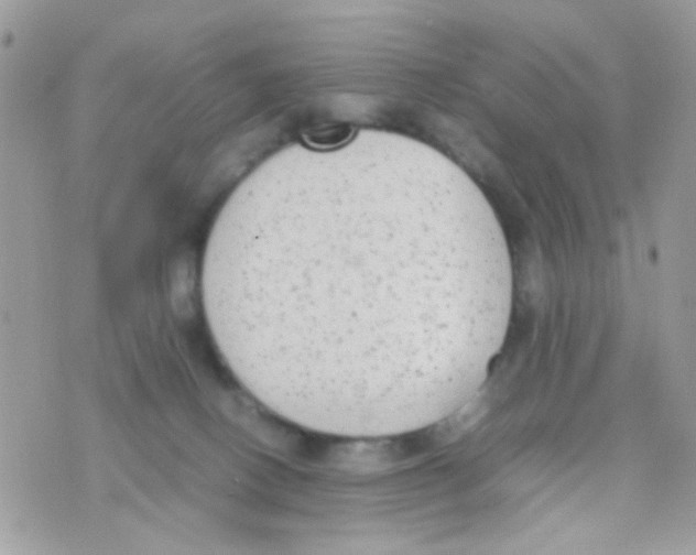 X0000074970082200609291949