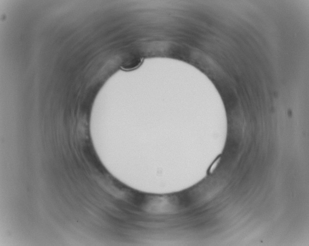 X0000074970083200609291949