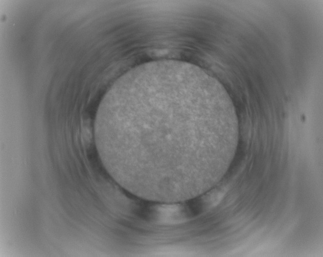 X0000074970085200609291949