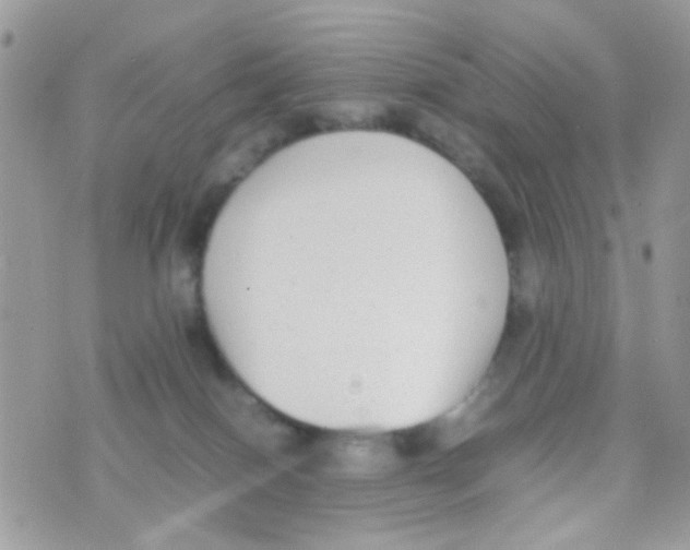 X0000074970086200609291949