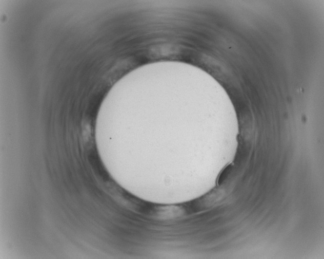 X0000074970087200609291949