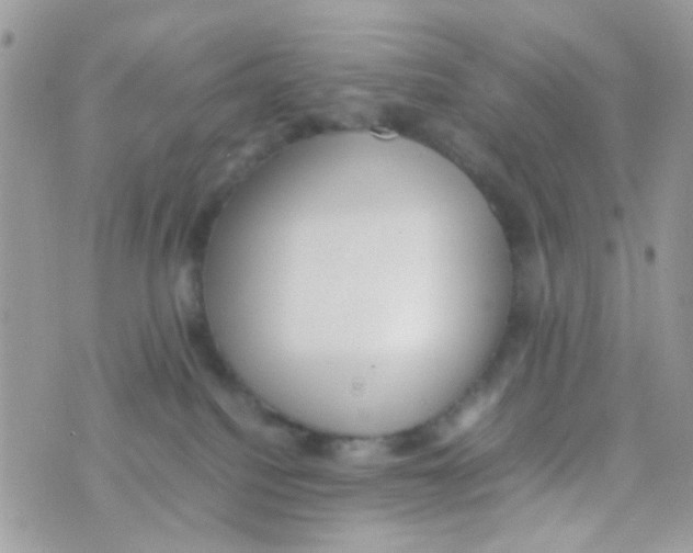 X0000074970088200609291949