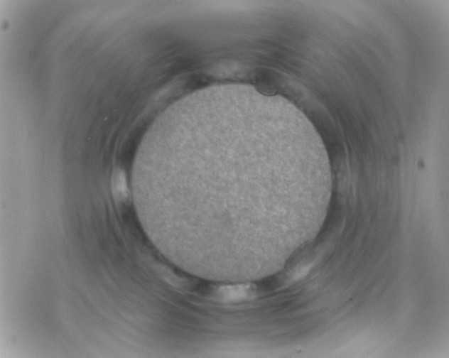 X0000074970089200609291949