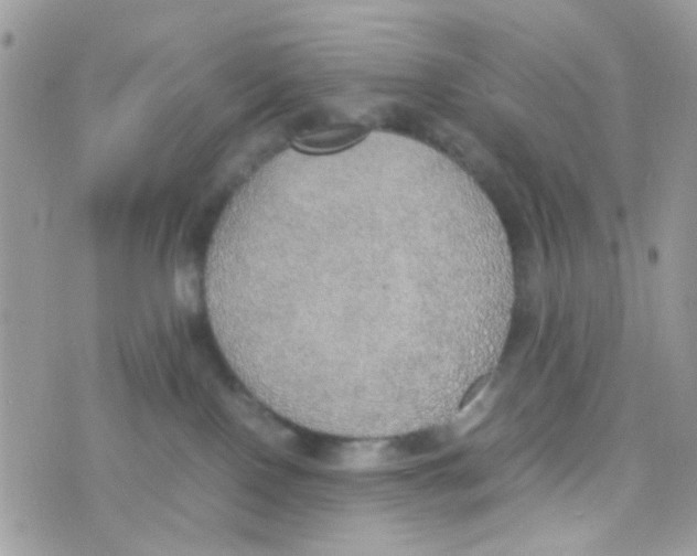 X0000074970090200609291949