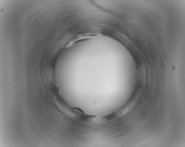 X0000074970092200609291949