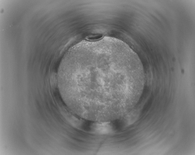 X0000074970093200609291949