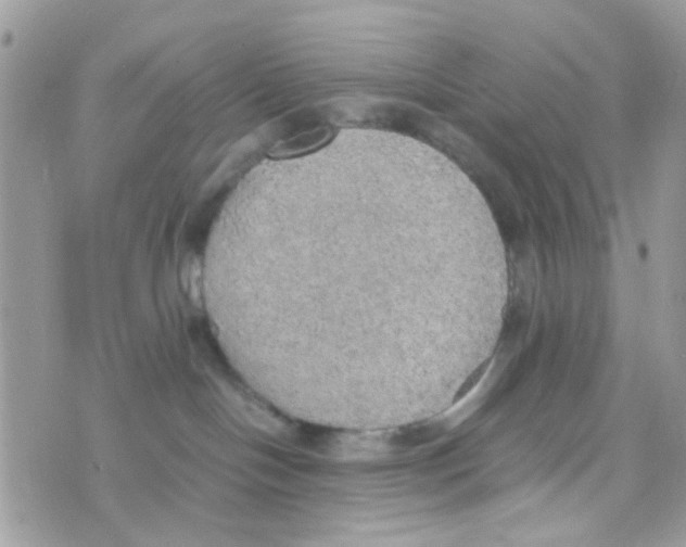 X0000074970094200609291949