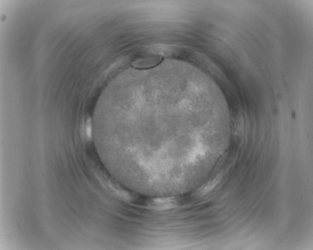 X0000074970095200609291949