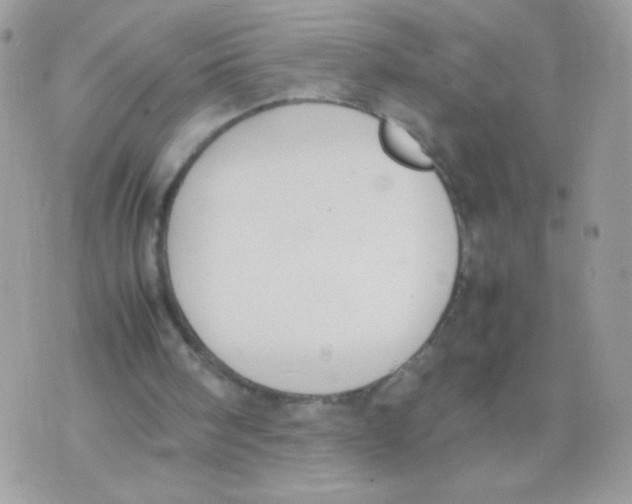 X0000074970098200609291948