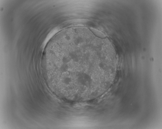 X0000074970099200609291948