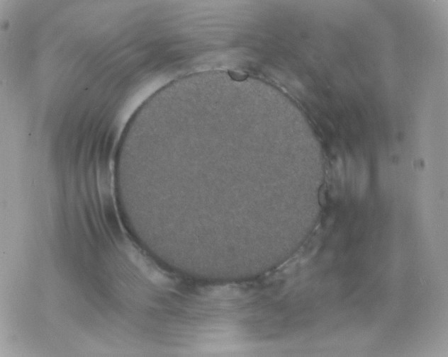 X0000074970100200609291948