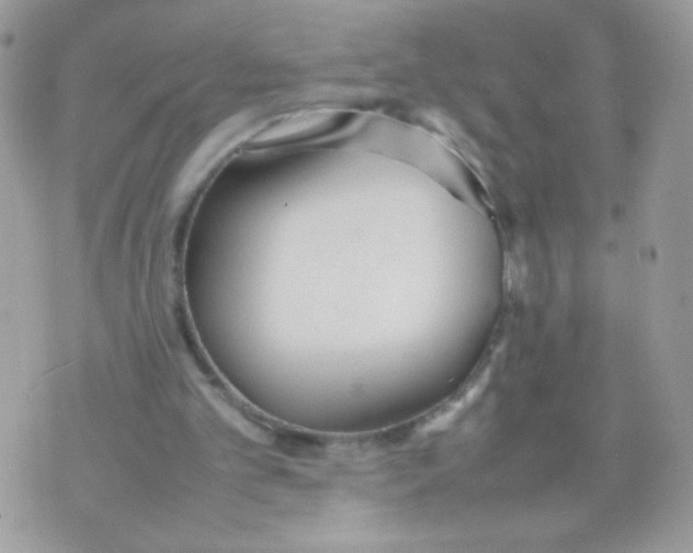 X0000074970101200609291948