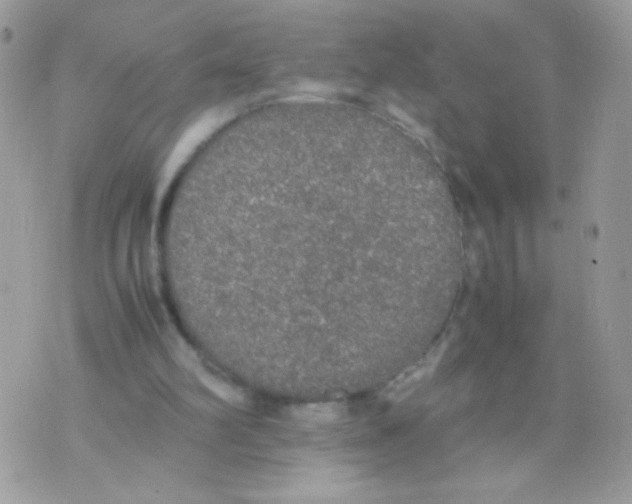 X0000074970102200609291948