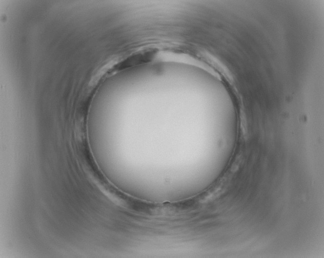 X0000074970105200609291948