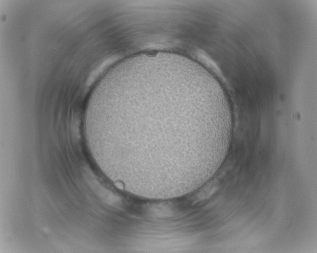 X0000074970106200609291948