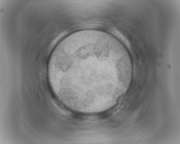 X0000074970107200609291948