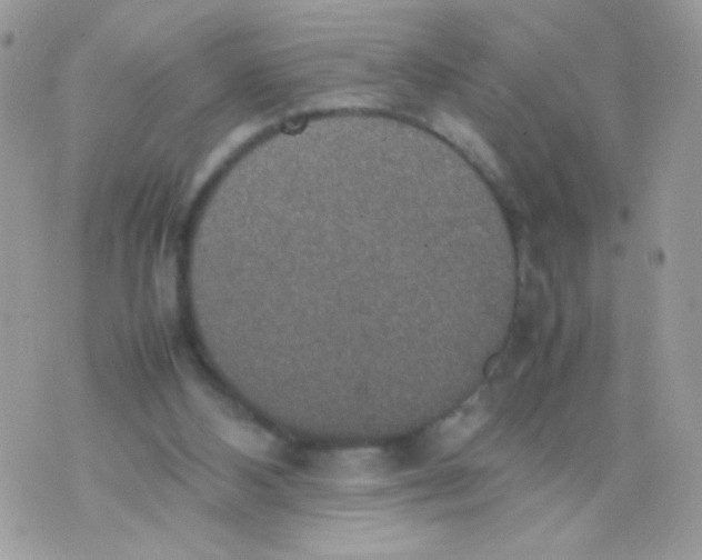 X0000074970108200609291948