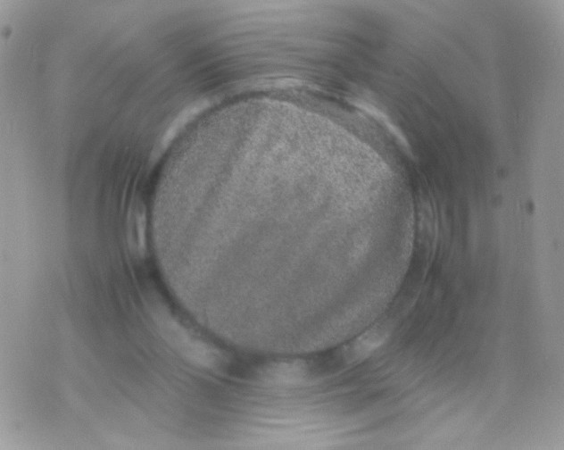 X0000074970110200609291948