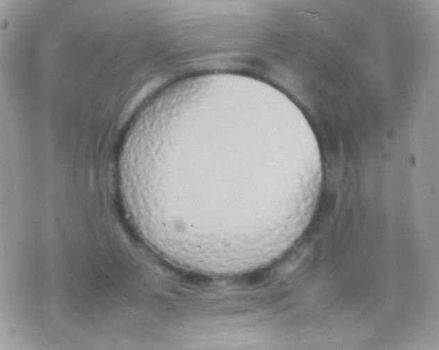 X0000074970111200609291948