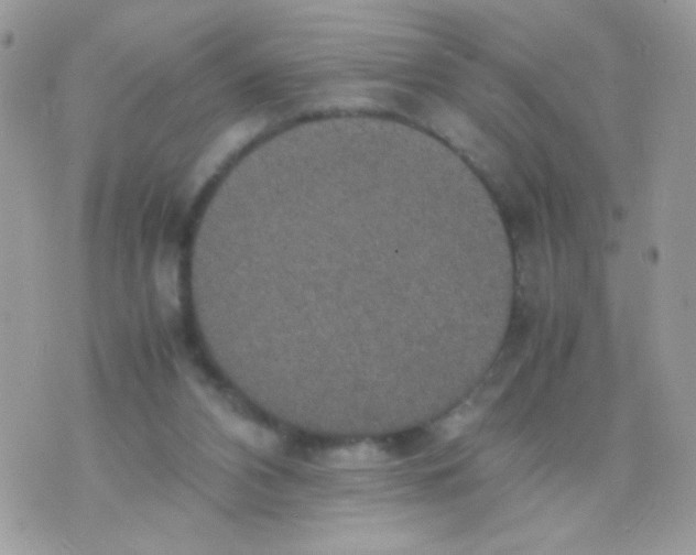 X0000074970112200609291948