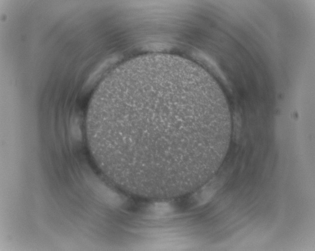 X0000074970114200609291948