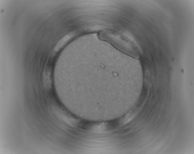 X0000074970116200609291948